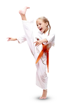 Карате SK BUDO