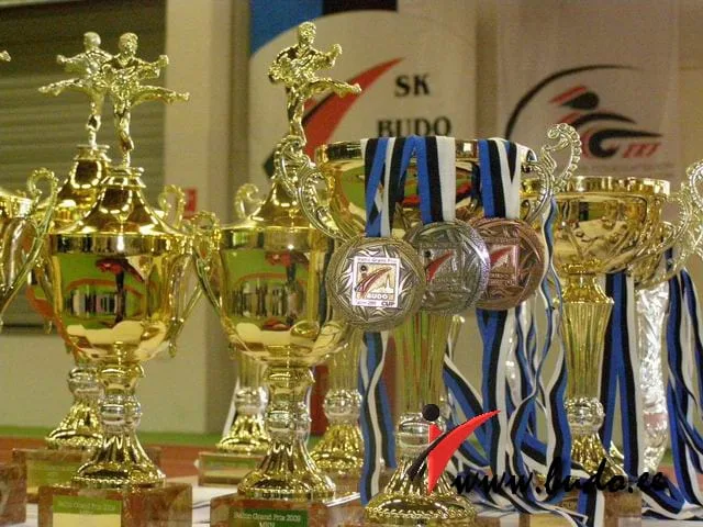 Сезон 2008-2009